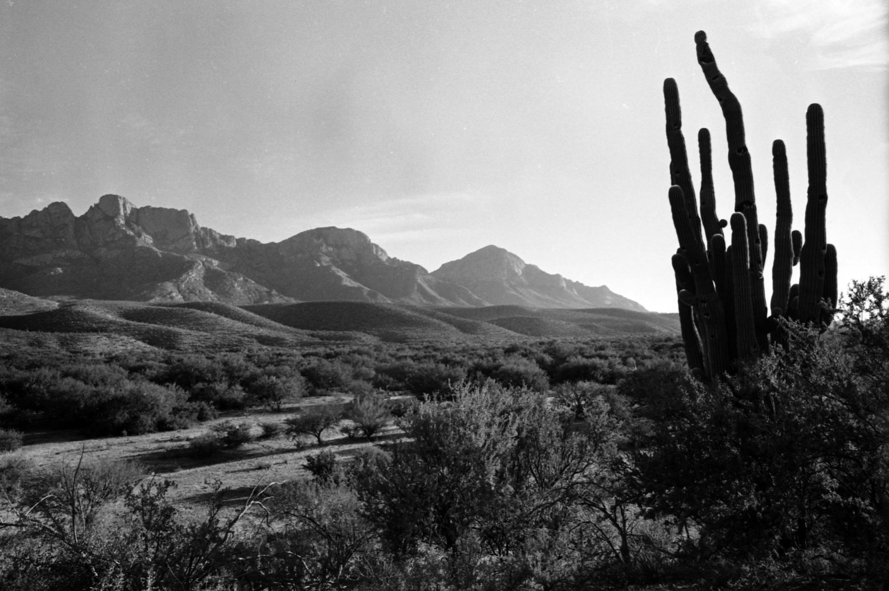 Rancho Romero